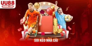 Soi Kèo Nhà Cái - Dự Đoán Tỷ Lệ Kèo Thể Thao Chính Xác